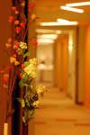 Eden Hotel 